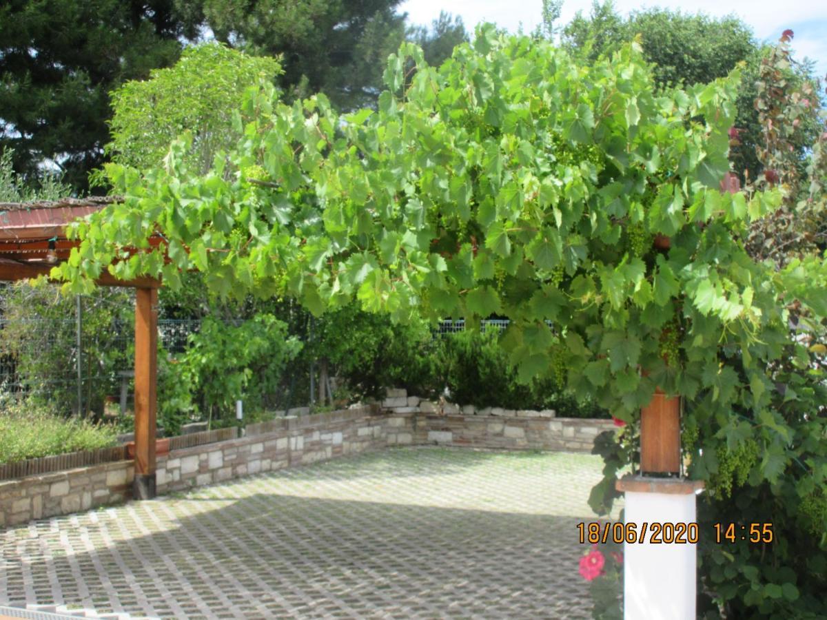 B&B Capo Le Vigne Sirolo Buitenkant foto