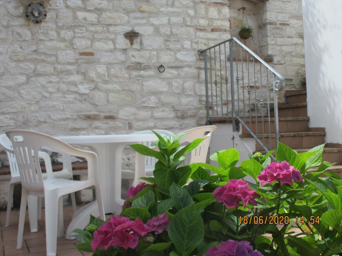 B&B Capo Le Vigne Sirolo Buitenkant foto